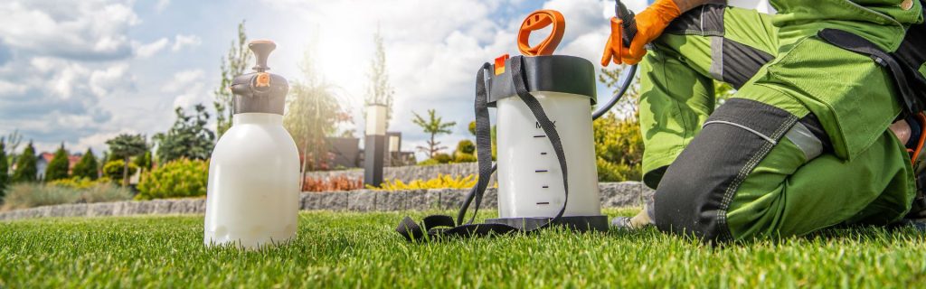 Residential Pest Control Bakersfield CA