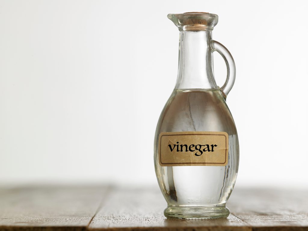 Does Vinegar Kill Ants?