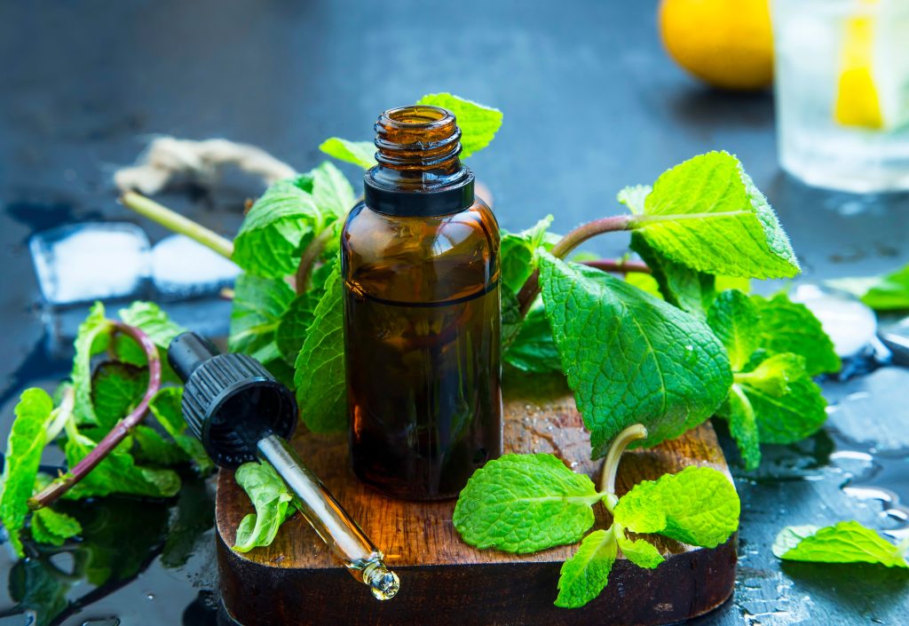 Peppermint Oil for Rodents