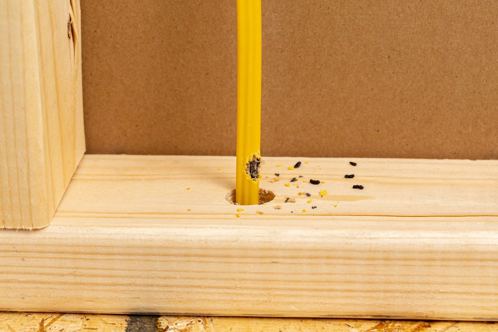 What Do Mice Droppings Look Like